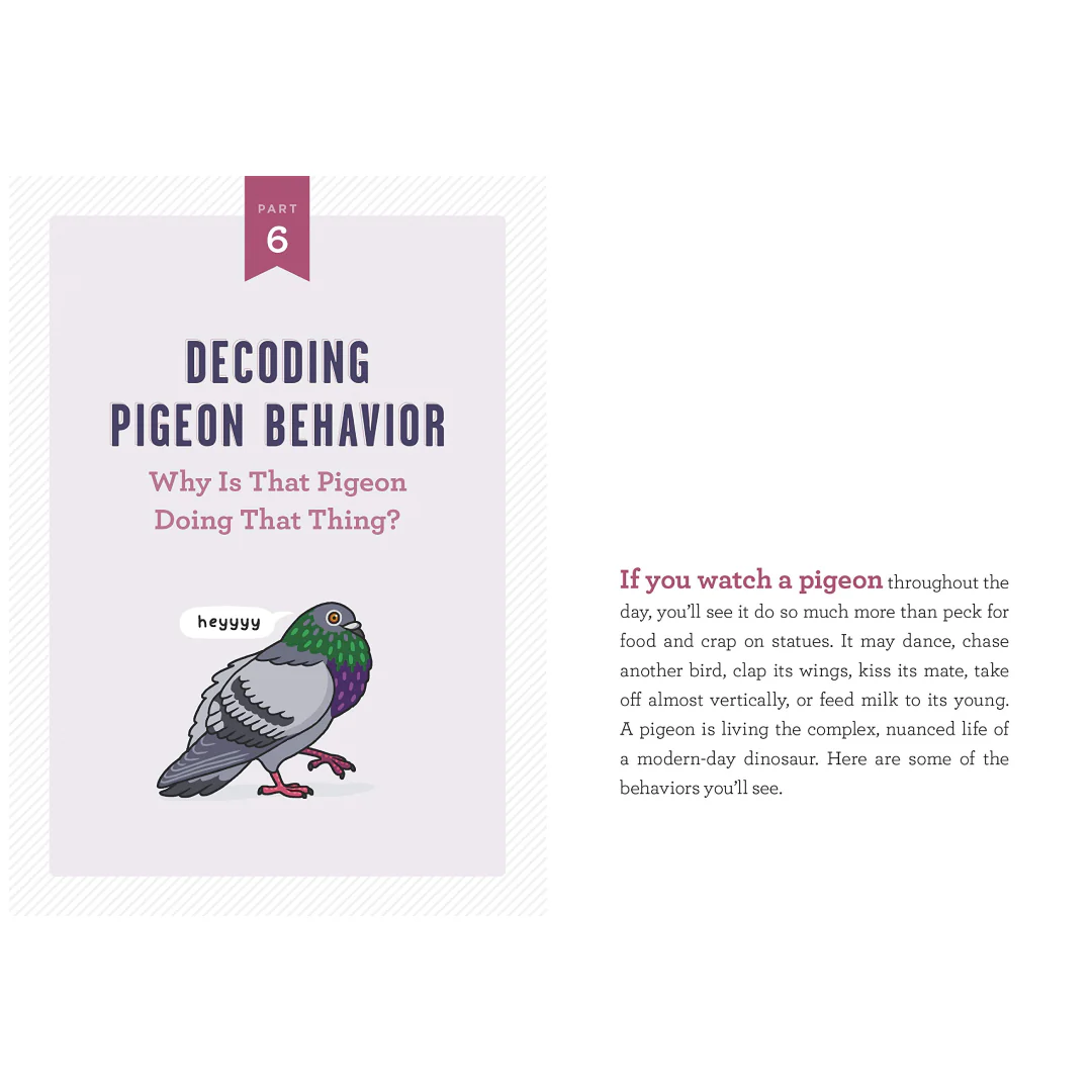 SIGNED! A Pocket Guide to Pigeon Watching: Getting to Know the World's Most Misunderstood Bird - Image 2