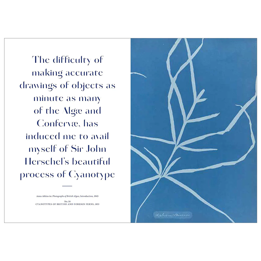 Anna Atkins: Blue Prints - Image 3