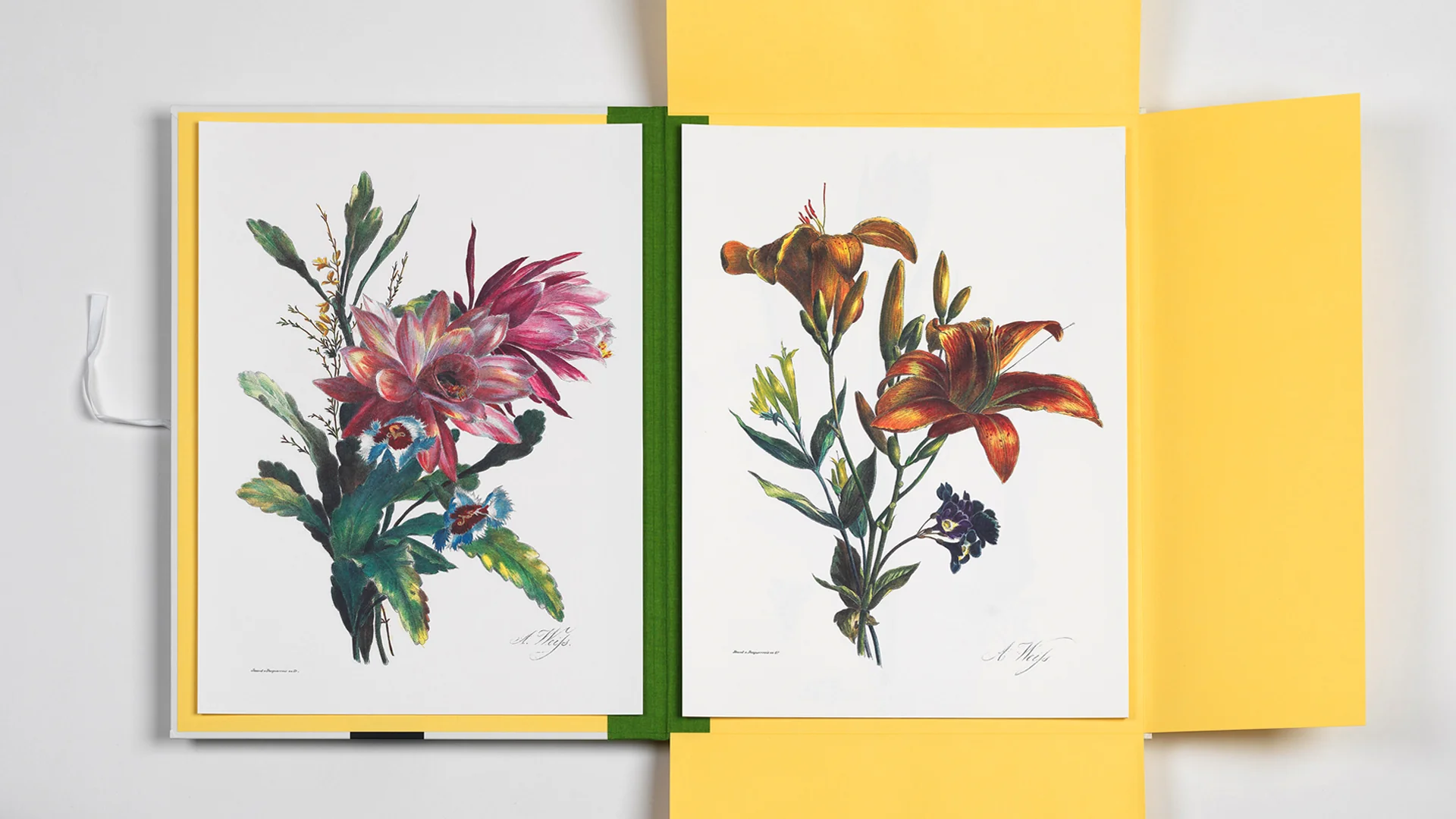 Art Portfolio: Flower Prints - Image 3