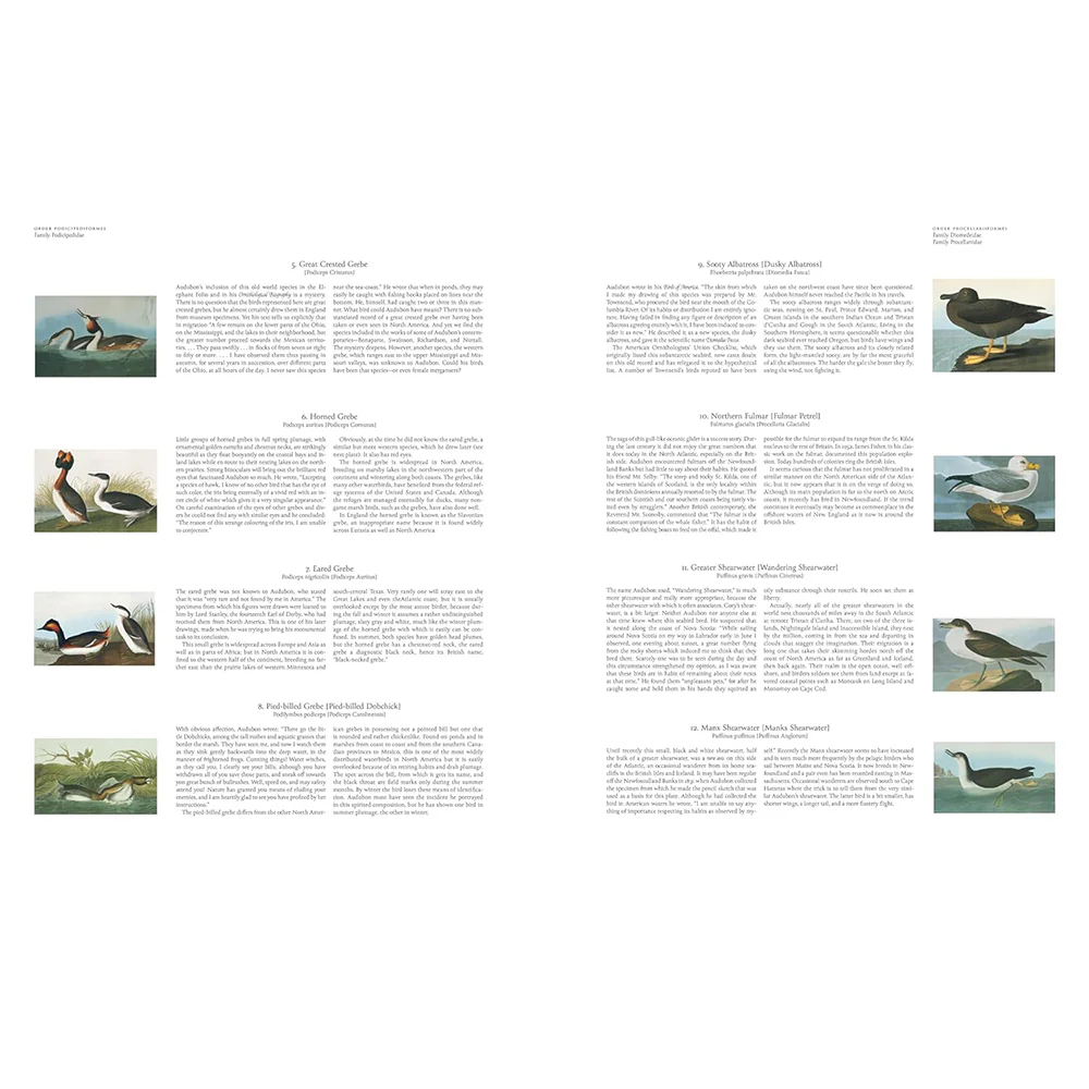 Audubon's Birds of America: Baby Elephant Folio - Image 5