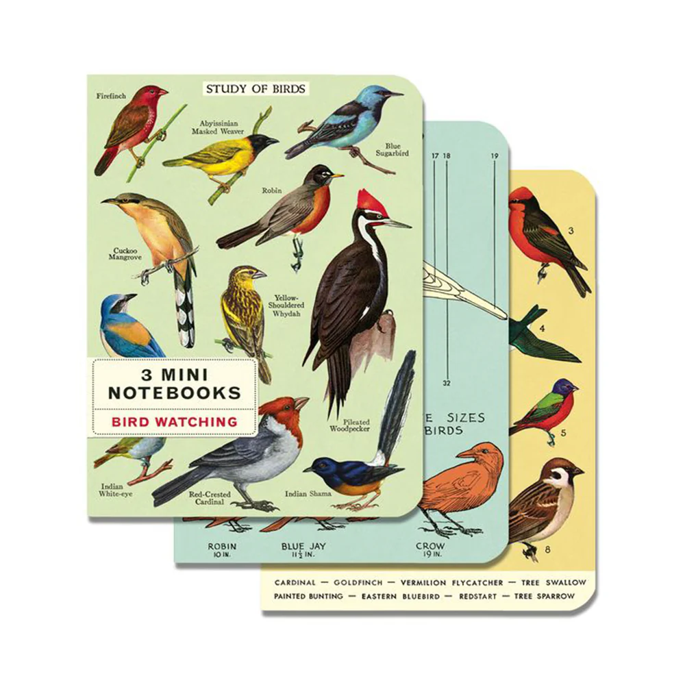 Bird Watching Mini Notebooks Set