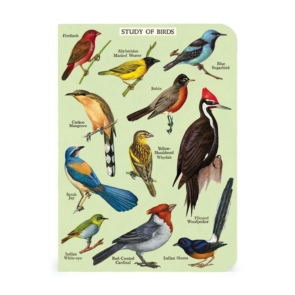 Bird Watching Mini Notebooks Set - Image 2
