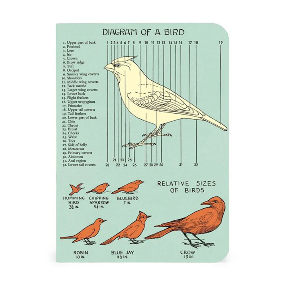 Bird Watching Mini Notebooks Set - Image 3