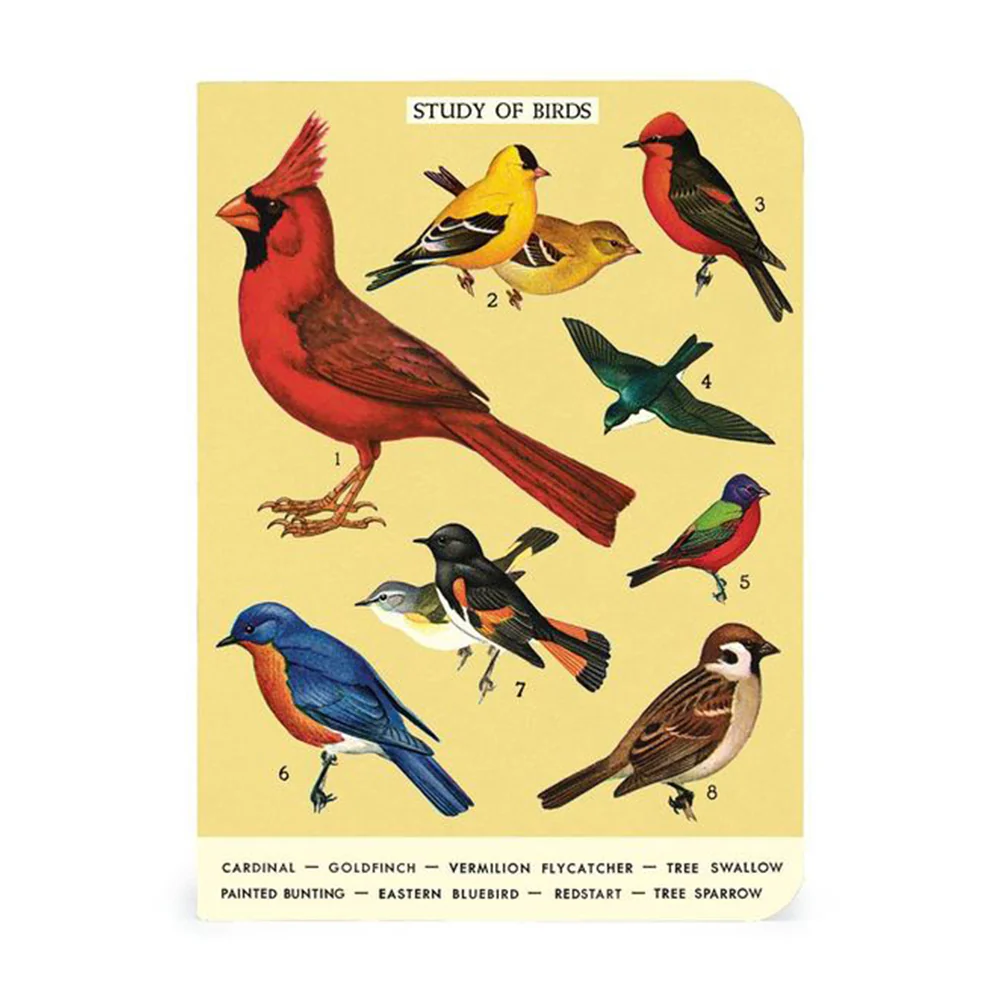 Bird Watching Mini Notebooks Set - Image 4