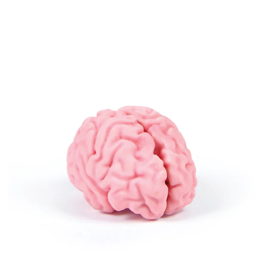 Brain Eraser - Image 2