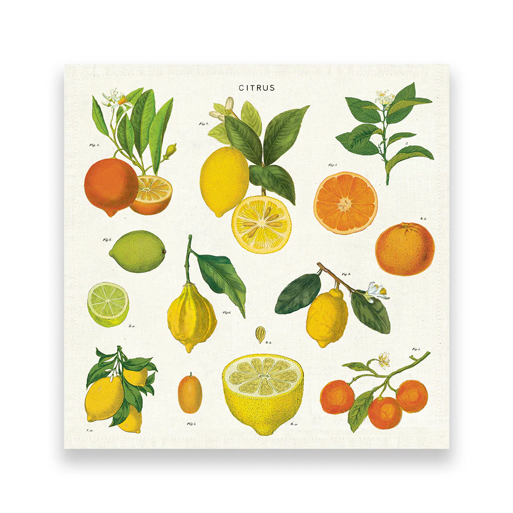 Citrus Vintage Napkins - Image 2