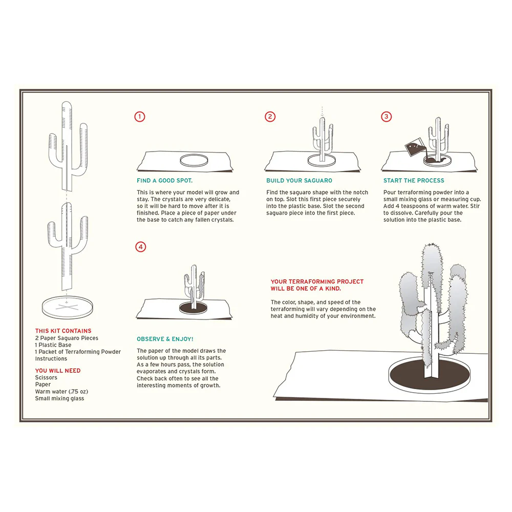 Crystal Growing: Saguaro Cactus - Image 2