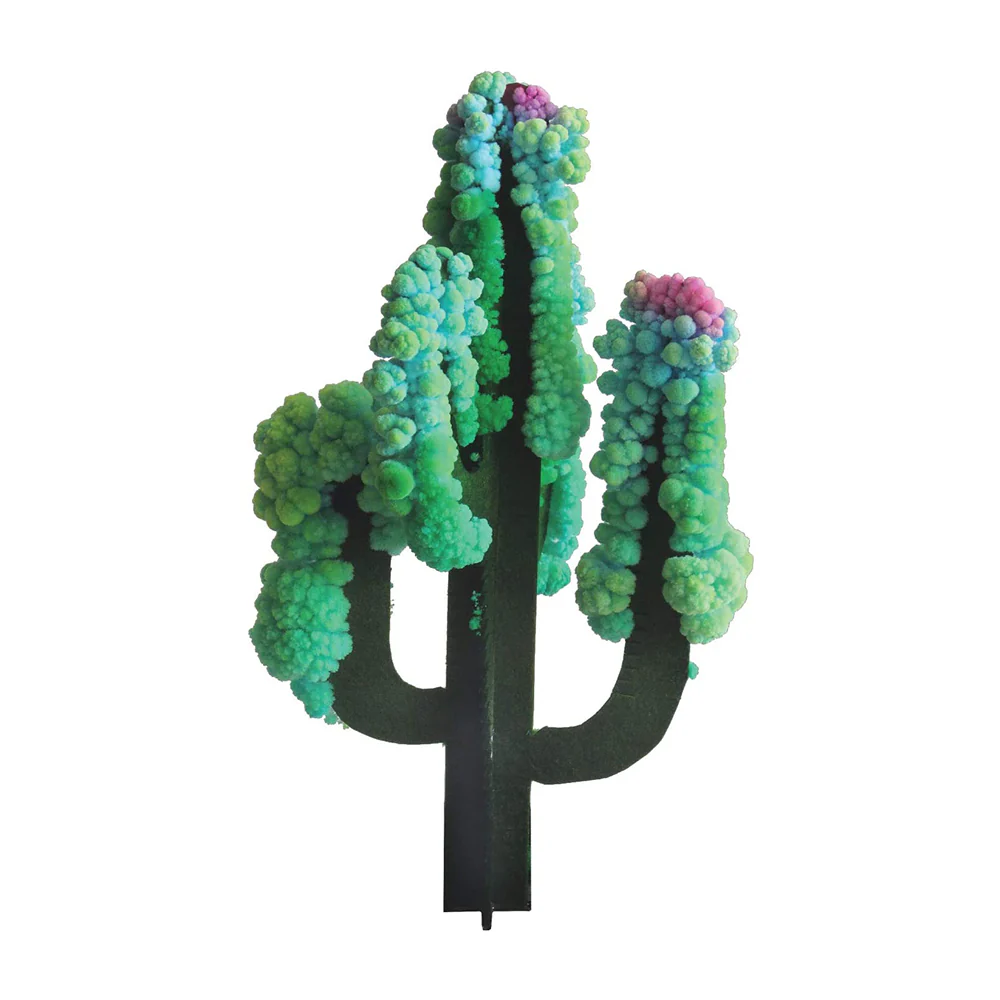 Crystal Growing: Saguaro Cactus - Image 3