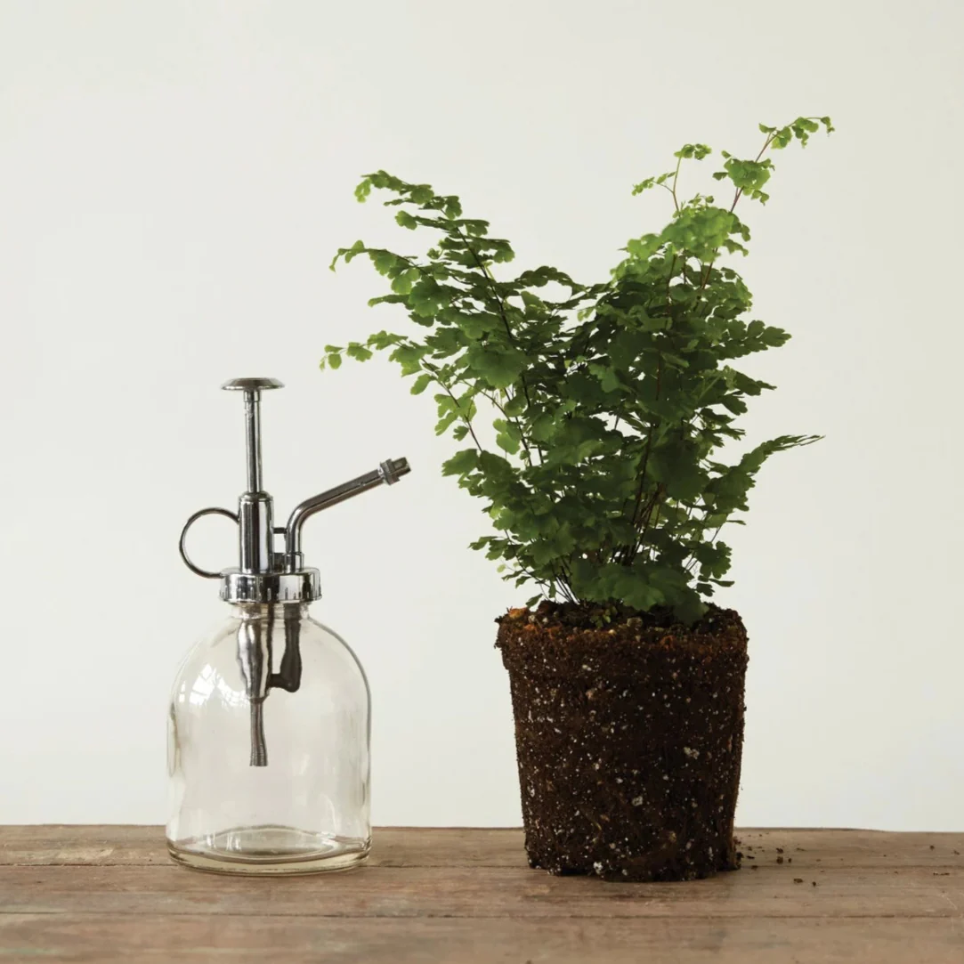 Glass Plant Mister - Image 2