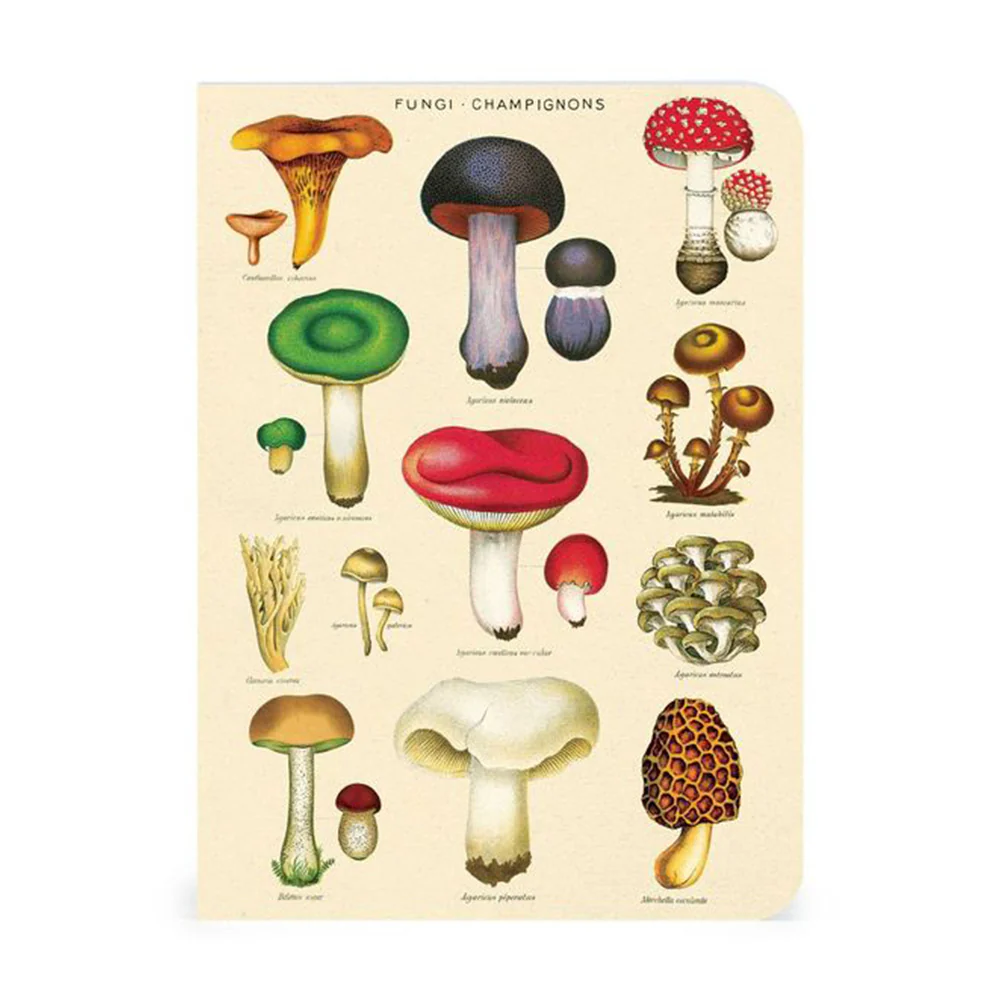 Le Jardin Mini Notebooks Set - Image 3