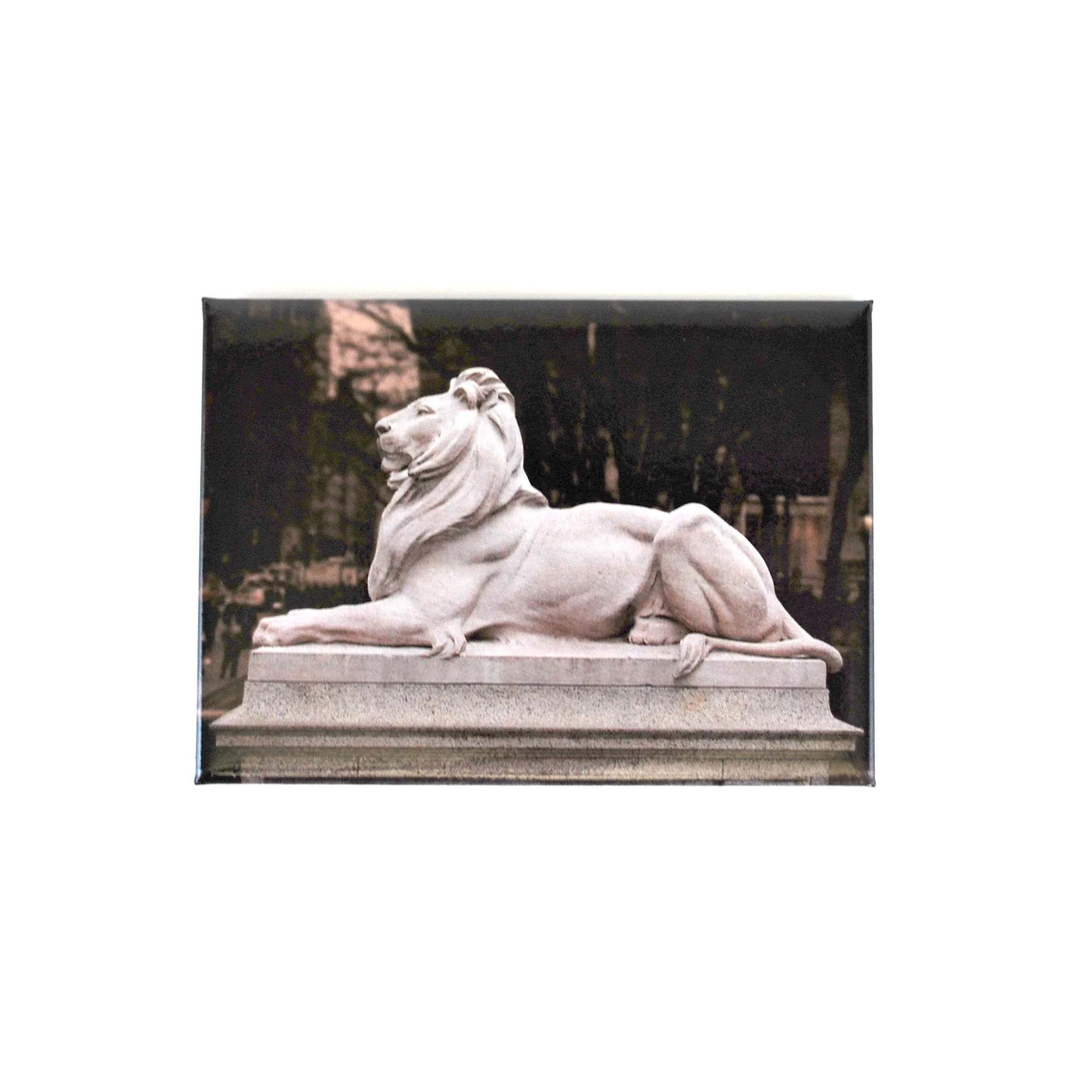 Lion Magnet