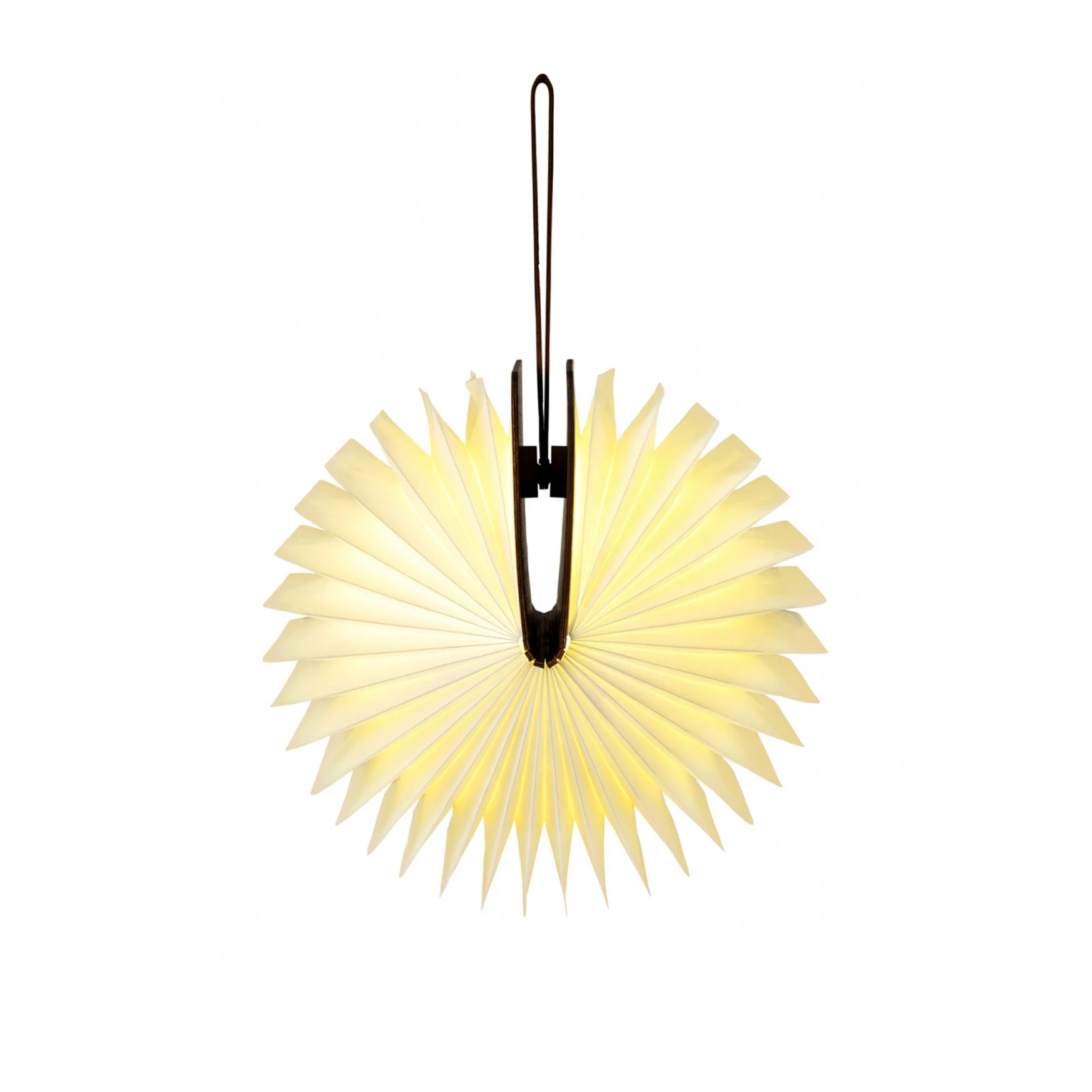 Lito Booklight in Maple - Image 5