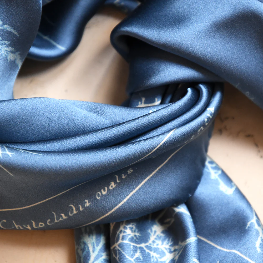 NYPL Anna Atkins Silk Scarf - Image 2