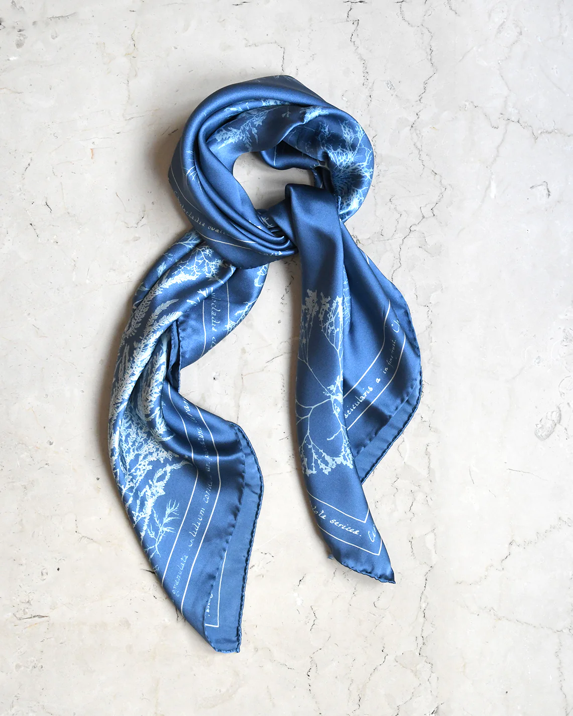 NYPL Anna Atkins Silk Scarf - Image 3