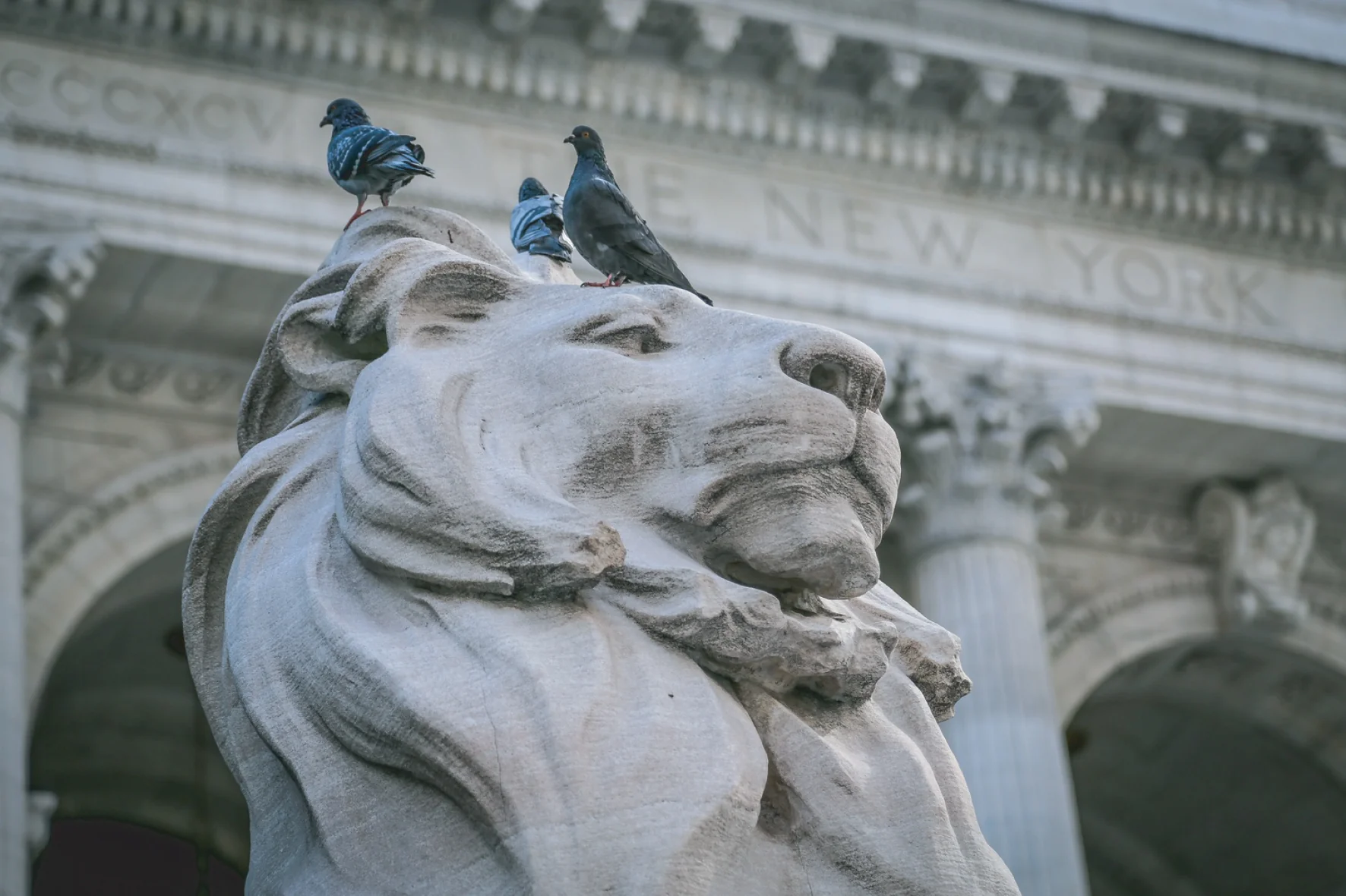 NYPL Library Lion Micro Puzzle - Image 2