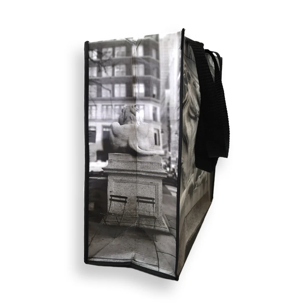 Recycled NYPL Lions Tote - Image 5