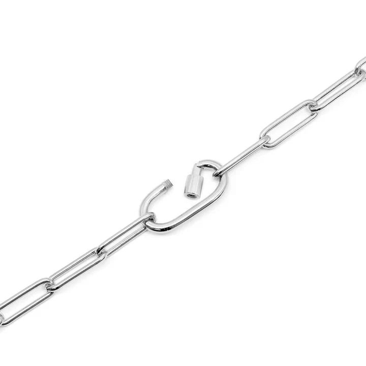 Silver The Daily Charm Necklace - Image 5