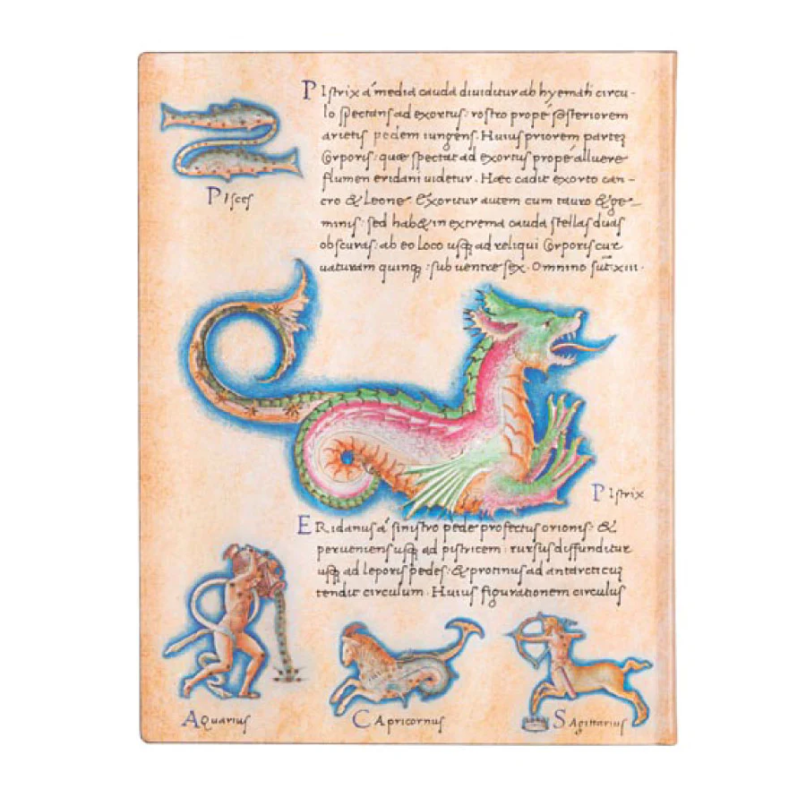 Softcover NYPL Astronomica Journal - Image 5