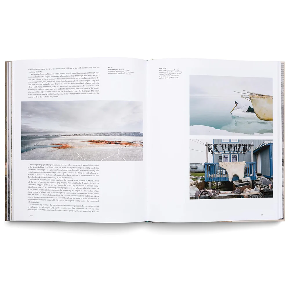 The Awe of the Arctic: A Visual History - Image 2