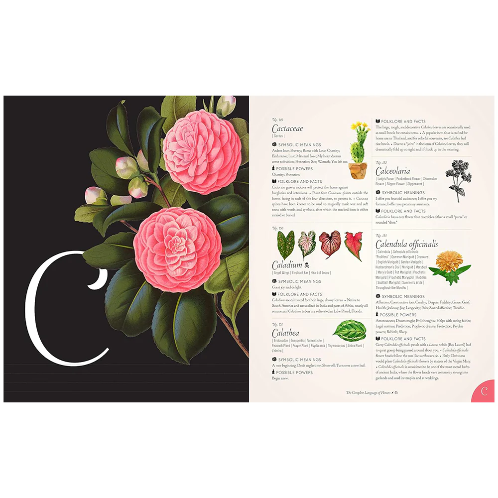 The Complete Language of Flowers - Image 2