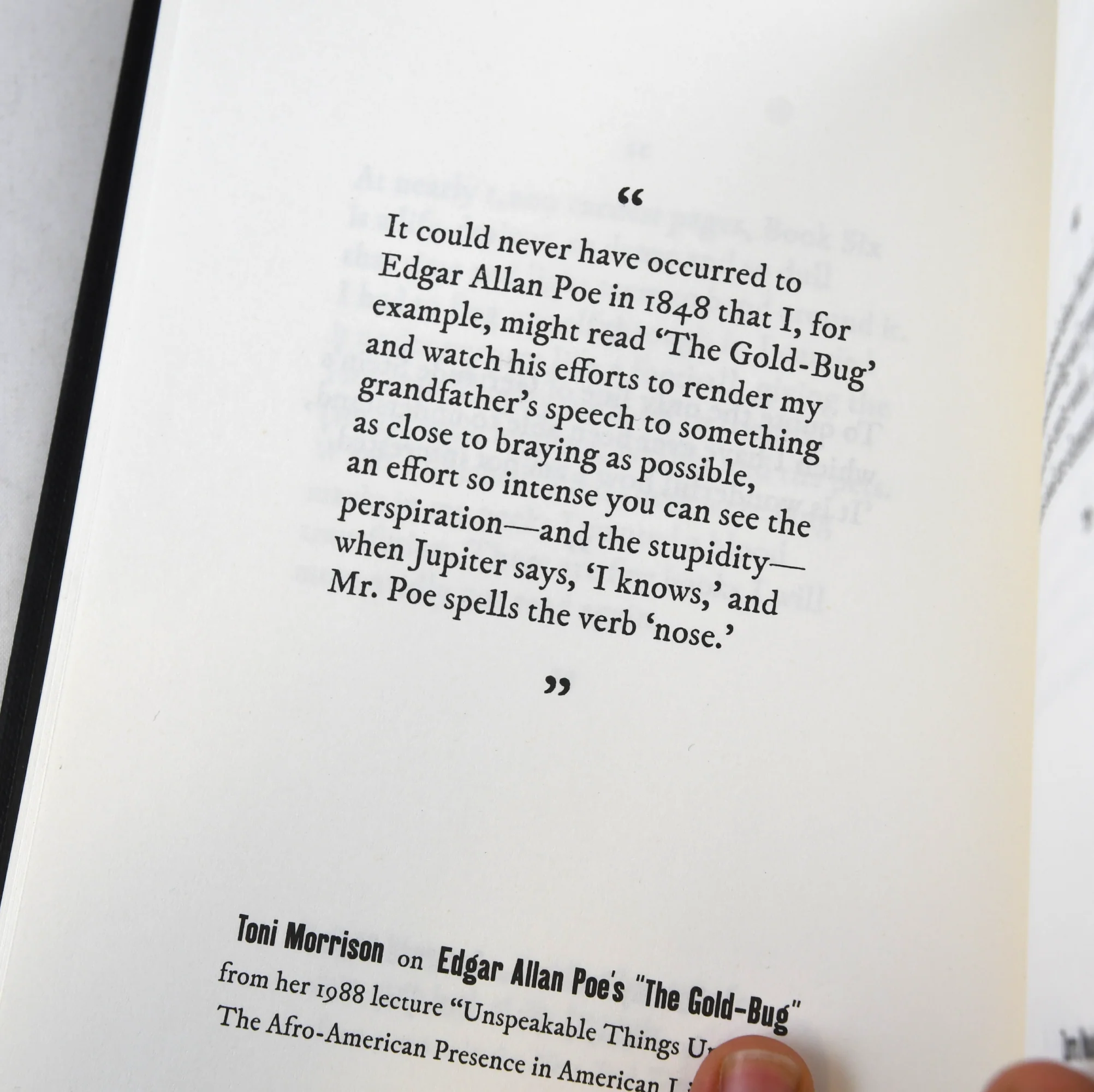 Vicious Nonsense: Quips, Snubs & Jabs by Literary Friends & Foes - Image 2