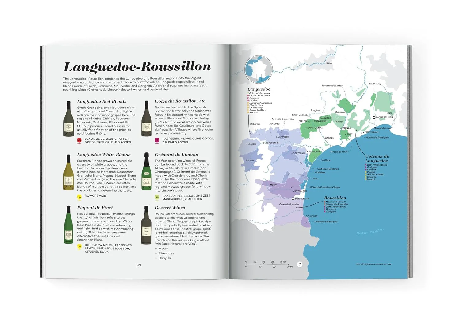 Wine Folly: Magnum Edition - Image 3
