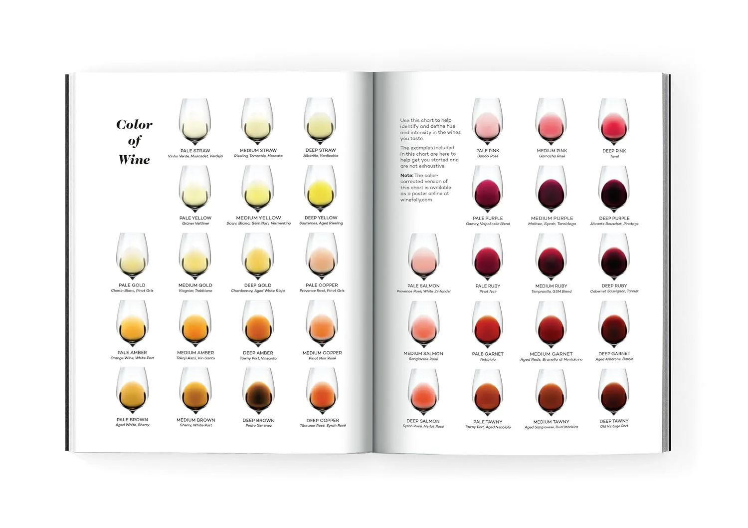 Wine Folly: Magnum Edition - Image 5